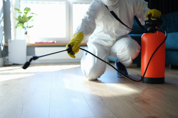 Reliable Odor Removal contractor in Clinton, WI by Trauma Clean Pros
